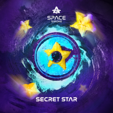 Кальянная смесь Space Smoke 125 гр. Secret Star