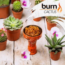 Табак для кальяна Burn 100 гр Cactus