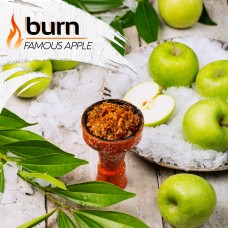 Табак для кальяна Burn 100 гр Famous Apple
