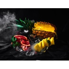 Табак для кальяна ZR Premium 2.0 25 гр Тропическая нежность